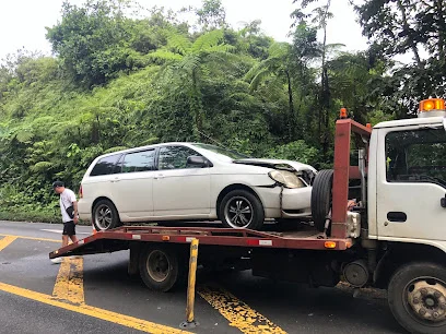 Gruas de Plataforma | La Guacima
