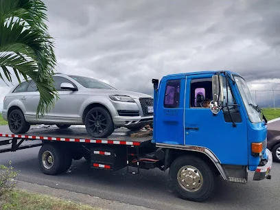 Gruas plataforma segura