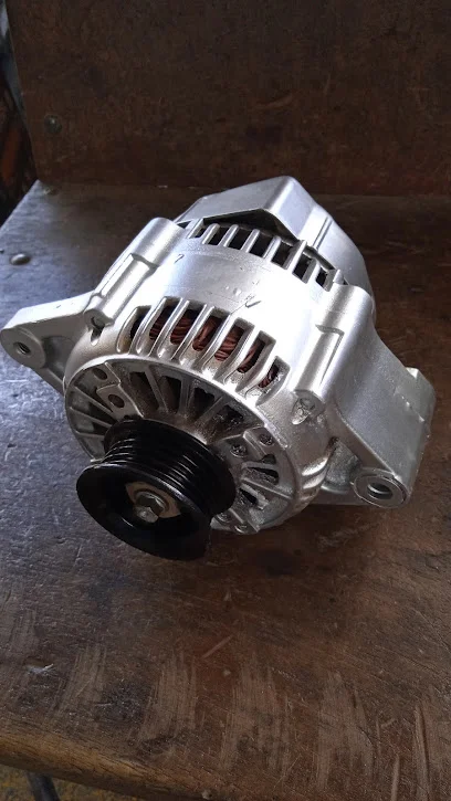 Servicios Electricos ACECAS