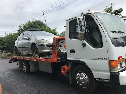 Grúa plataforma Solano