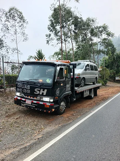 Servicio gruas SH