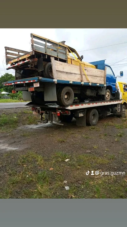 Grúas Guzmán cañas Guanacaste