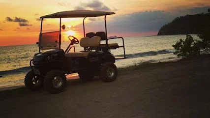 Flamingo golf cart rentals