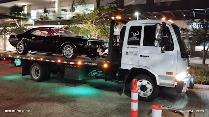 Servicio de Gruas plataforma