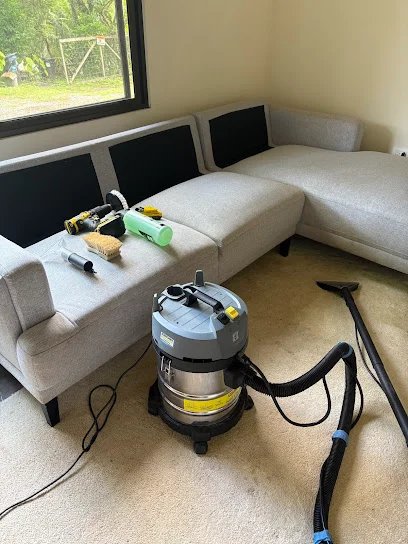 Teresa Shine and Detailing