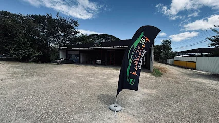 ALX Automotriz