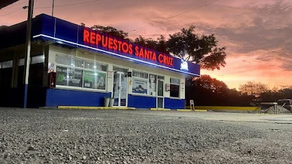 Repuestos Santa cruz (JONCE SA)