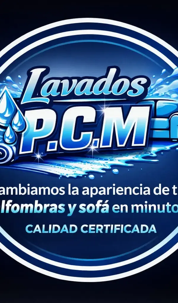 Lavados P.C.M Limpieza Profunda 1