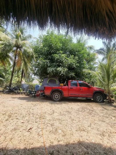 Moto repuestos Rojas Rojas