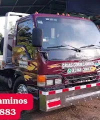 Grúas Correcaminos