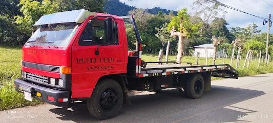 Gruas Pana