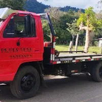Gruas Pana
