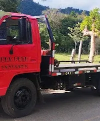 Gruas Pana