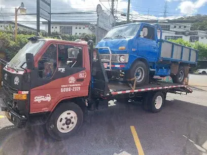 Transportes y gruas FOX 1