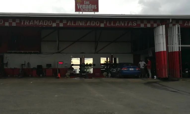 Taller Los Venados