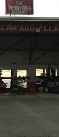 Taller Los Venados