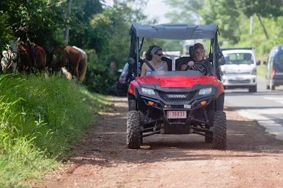 Santana Maynors Adventure Atv