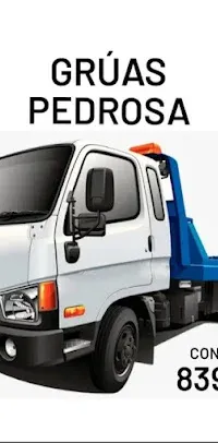 Gruas Desaparadeñas Pedrosa