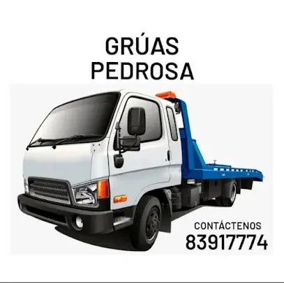 Gruas Desaparadeñas Pedrosa 1