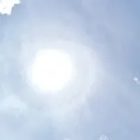 Auto Repuestos La Raya