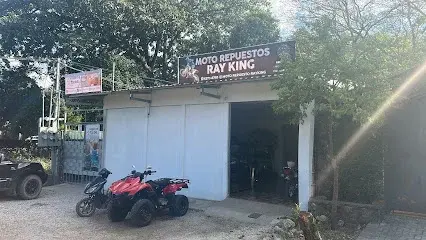 Moto Repuestos Ray King 1