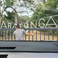 Trip N Taxi