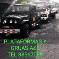 GRUAS A&E