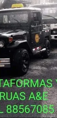 GRUAS A&E