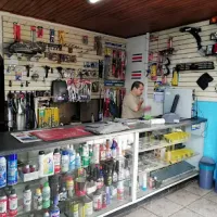 Autorepuestos L y M