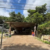 Llantera y lavacar Papo