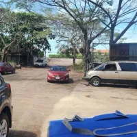 Taller Brown