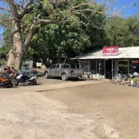 Rent A Carrito El Coco