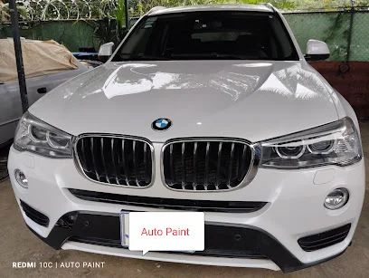 Auto Paint el Coco
