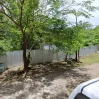RADIADORES TAMARINDO