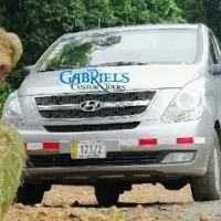 Gabriel's Custom Tours