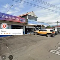 Cedea