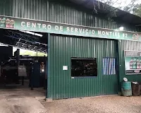 Centro Automotriz Montiel