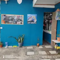 NAVI TUNING