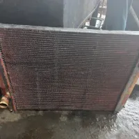 Cerdas