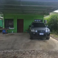 Miltisevicios T Y M
