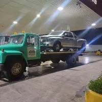 Grua liberiano, liberia guanacaste