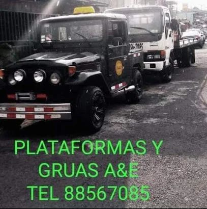 Gruas y Plataformas A&E