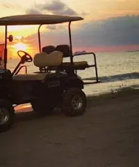 Flamingo golf cart rentals