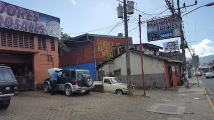 Radiadores Rosales Desamparados
