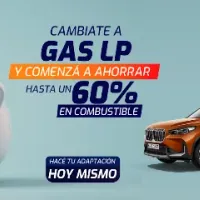 Mundigas