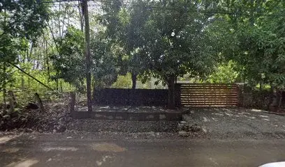 "Pura Vida" Taxi Service 1