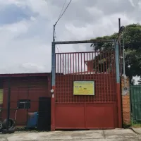 Repuestos Fofo
