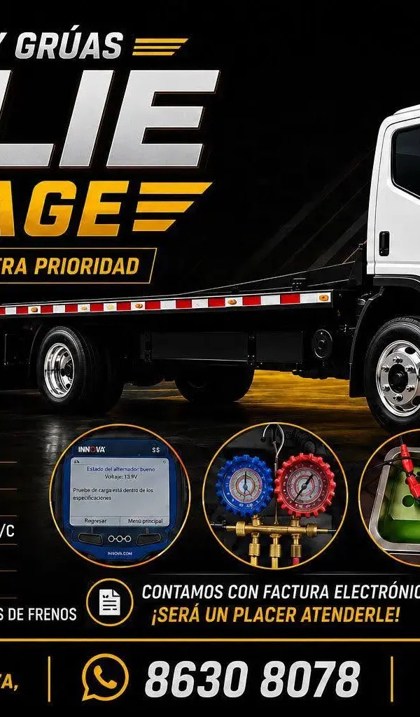 Kylie Garage 1