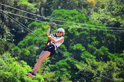 Flamingo Beach Tours with Pininos Adventures Private Tours