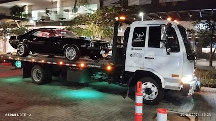 Servicio de Gruas plataforma